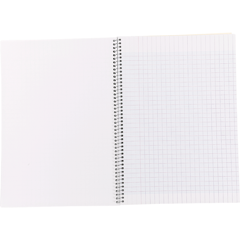 کتاب تمرین Travaux Pratiques با جلد گالینگور